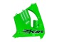 Kawasaki ZX9R Motorrad Verkleidung 2000-2001 - Grun
