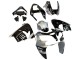 Kawasaki ZX9R Motorrad Verkleidung 2002-2003 - Silber Glanzendes Schwarz Monster Elf
