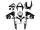 Kawasaki ZX9R Motorrad Verkleidung 2002-2003 - Silber Glanzendes Schwarz Monster Elf