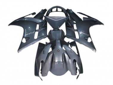 Yamaha FJR1300 Motorrad Verkleidung 2007-2012 - Grau