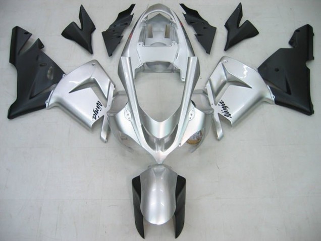 Kawasaki ZX10R Motorrad Verkleidung 2004-2005 - Glanzendes Silber Matt Schwarz