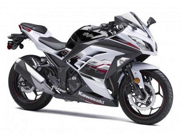 Kawasaki EX300 Motorrad Verkleidung 2013-2024 - Weiss Schwarz Rot Accents