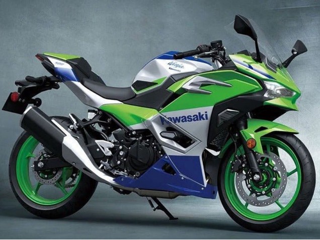 Silber Grün Blau 2024-2026 Kawasaki Ninja 500 EX500R Motorrad Verkleidung