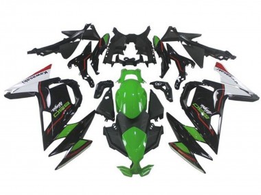 Grun Schwarz Weiss Rot 2020-2025 Kawasaki Ninja 650 EX650 Motorrad Verkleidung