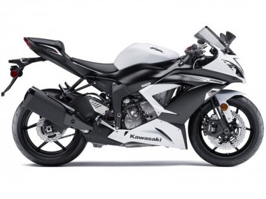 Kawasaki ZX6R Motorrad Verkleidungen Kit 2013-2018 - Weiss Matt Schwarz