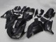 Matt Schwarz 2006-2011 Kawasaki ZX14R ZZR1400 Motorrad Verkleidung