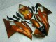 Orange 08-16 YZF R6 Motorrad Verkleidung Orange 08-16 YZF R6 Motorrad Verkleidung