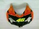 Orange Grün 04-05 CBR1000RR Motorrad Verkleidung