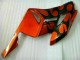 Orange Schwarz 04-05 CBR1000RR Motorrad Verkleidungen Orange Schwarz 04-05 CBR1000RR Motorrad Verkleidungen