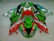 Rot Grün Motocard 09-12 ZX6R Motorrad Verkleidung