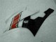 Rot Weiß 06-07 YZF R6 Motorrad Vollverkleidung