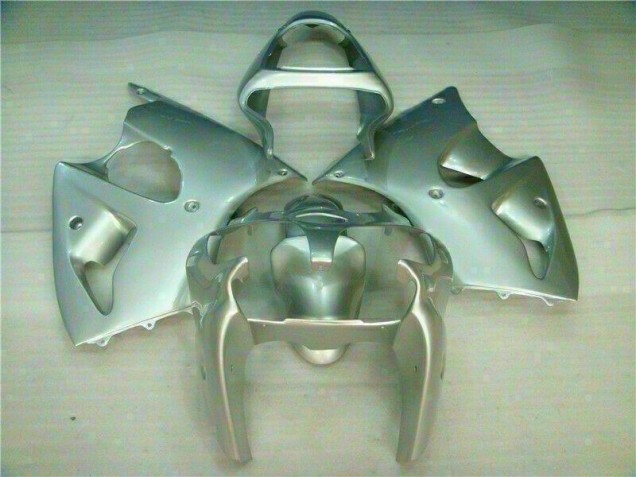 Silber 00-02 ZX6R Motorrad Verkleidung Silber 00-02 ZX6R Motorrad Verkleidung
